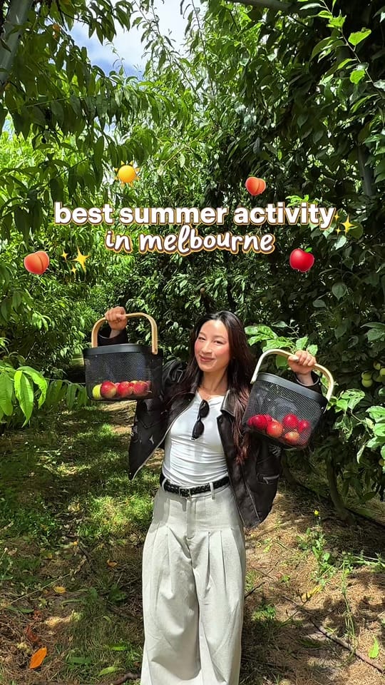 Post 2 by phoebe ❀ on TikTok (video)