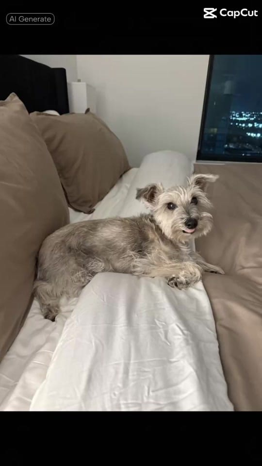 Post 4 by Rachael O’Bella on TikTok (video)