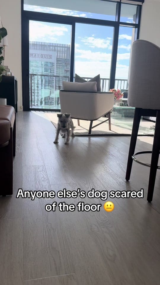 Post 6 by Rachael O’Bella on TikTok (video)