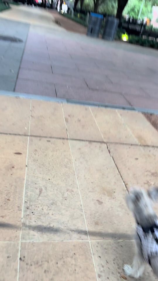 Post 7 by Rachael O’Bella on TikTok (video)