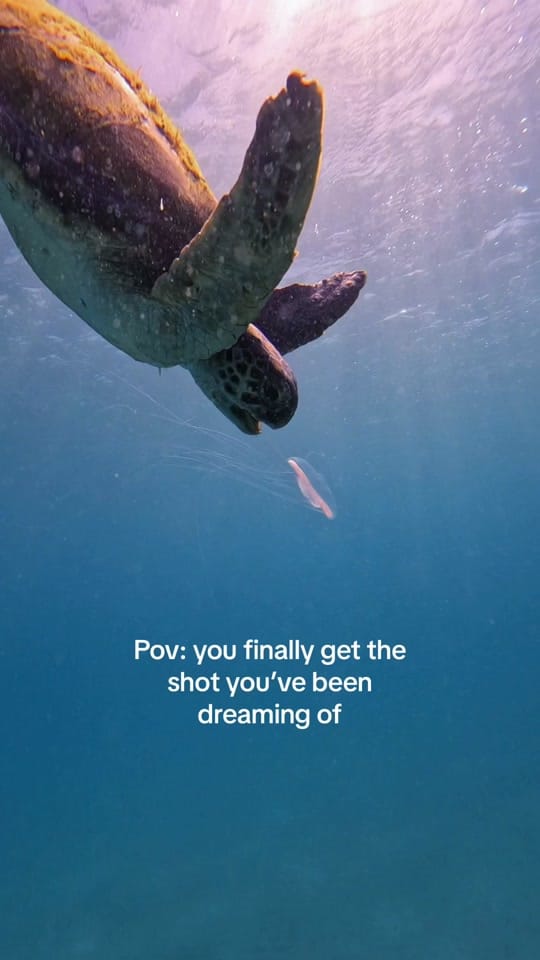 Post 10 by BarefeetPete_ on TikTok (video)