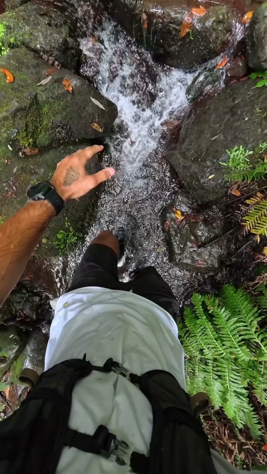 Post 1 by Jackson Groves on TikTok (video)