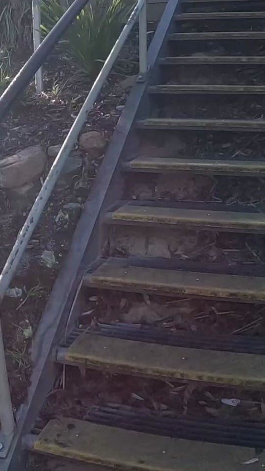 Post 4 by Aquarius Traveller / Chris Fry on TikTok (video)