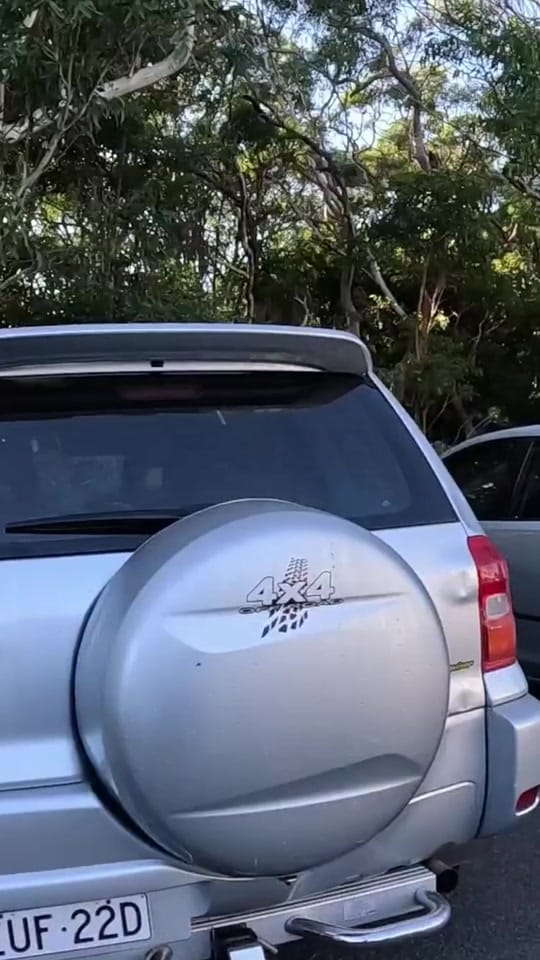 Post 9 by Aquarius Traveller / Chris Fry on TikTok (video)