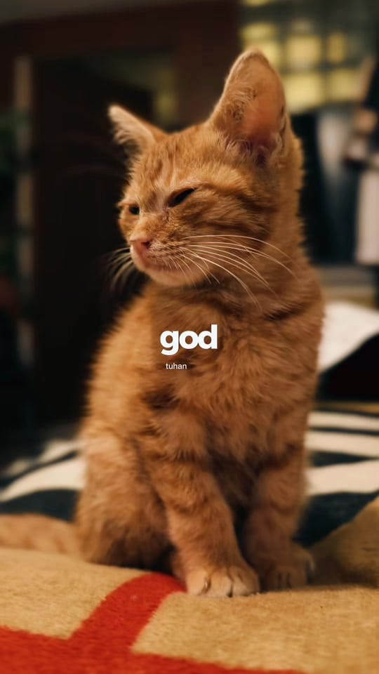 Post 2 by arultourleader on TikTok (video)