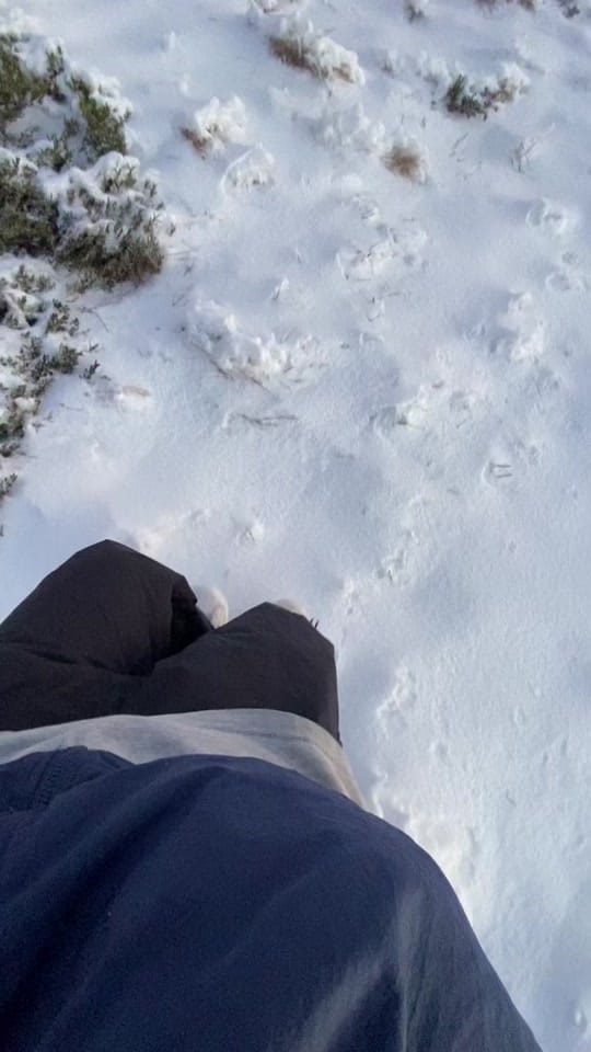 Post 6 by zarooks on TikTok (video)