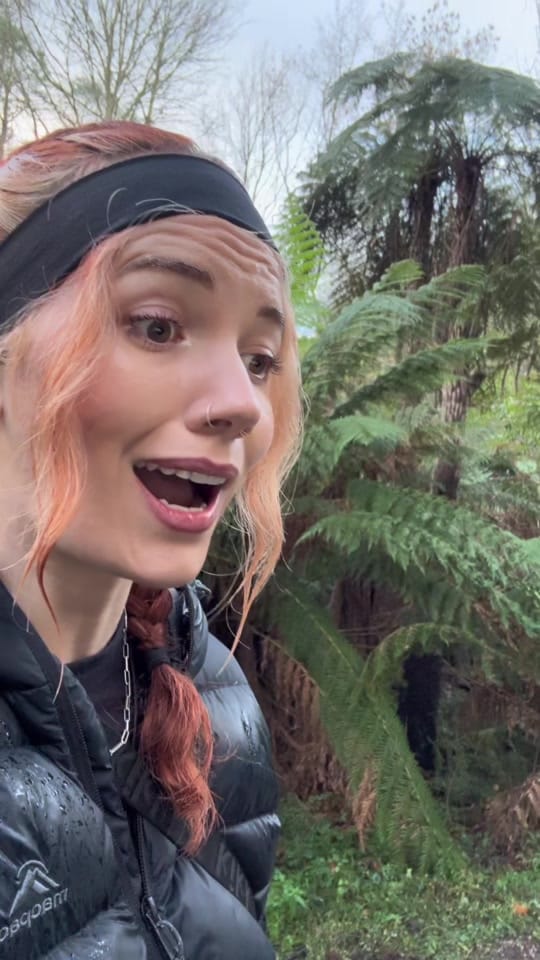 Post 2 by Peachy_Violett on TikTok (video)