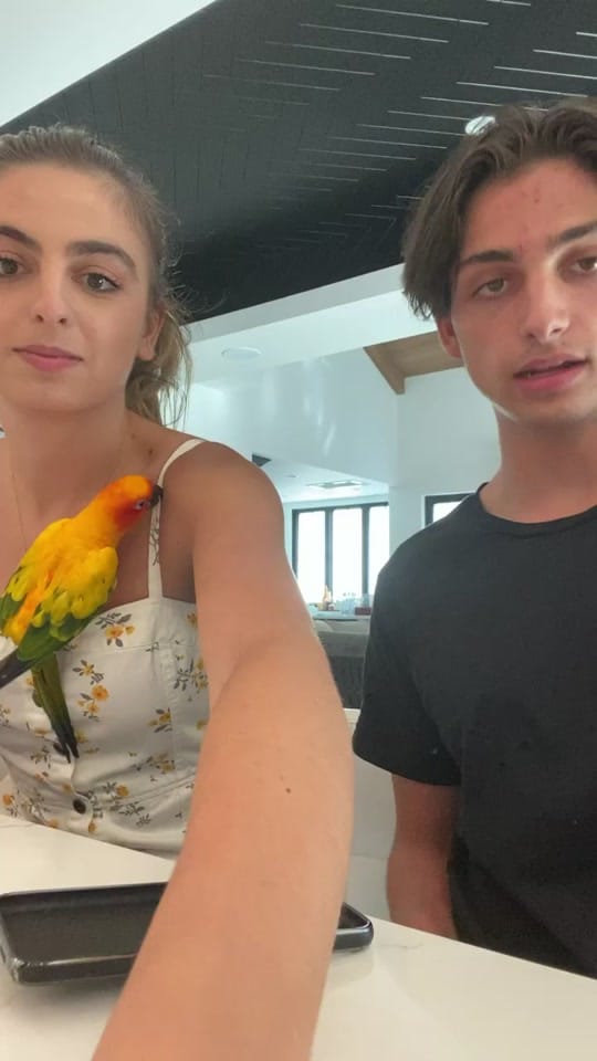 Post 7 by Shane Zvulun on TikTok (video)