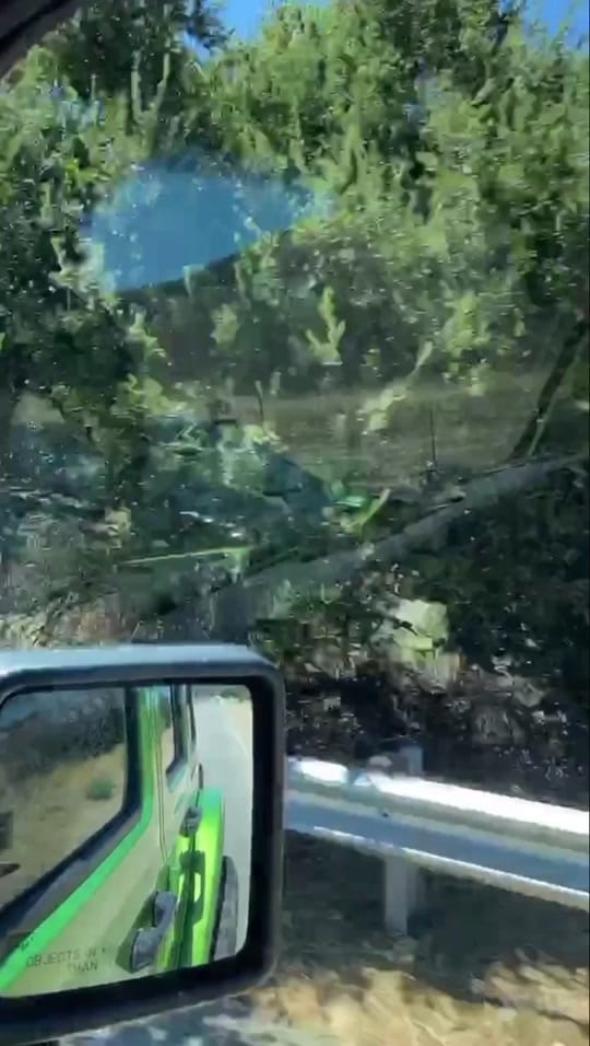 Post 1 by Shane Zvulun on TikTok (video)