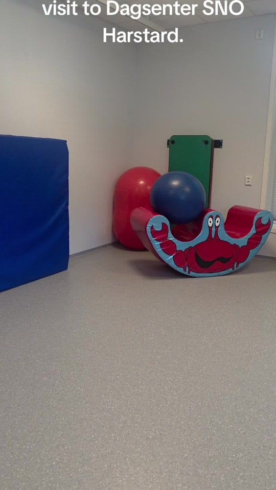 Post 7 by My Journey With Autism on TikTok (video)