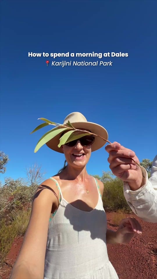 Post 8 by our.australia.trip on TikTok (video)