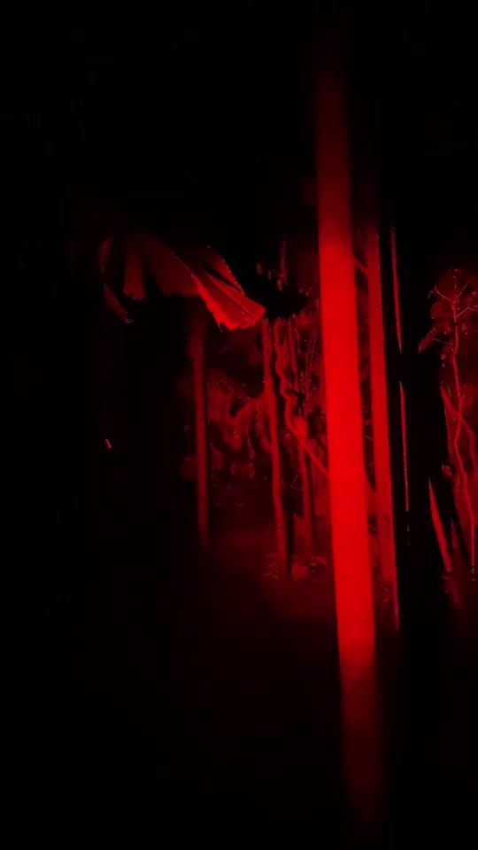 Post 3 by AdventuresbyMatt on TikTok (video)