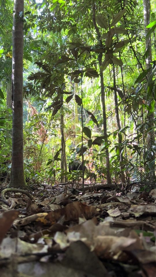 Post 8 by AdventuresbyMatt on TikTok (video)