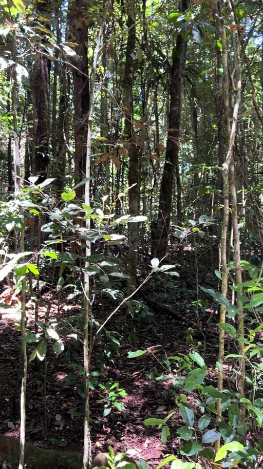 Post 1 by AdventuresbyMatt on TikTok (video)