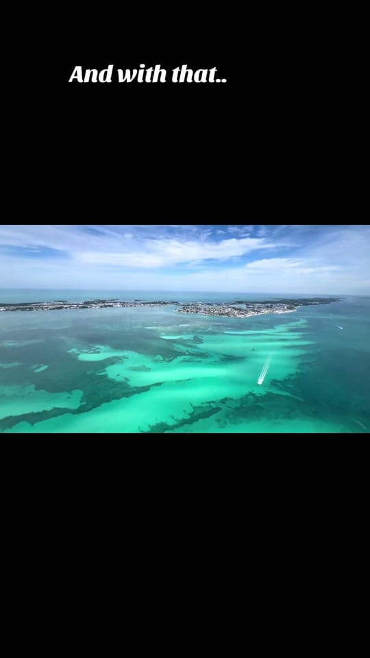 Post 4 by The Tactical Platypus on TikTok (video)