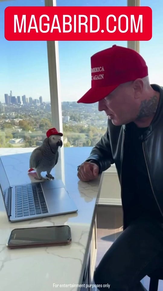 Post 7 by MAGA VIRAL REELS on TikTok (video)