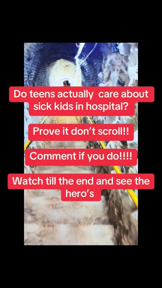 Post 5 by Katie Waardenburg638 on TikTok (video)