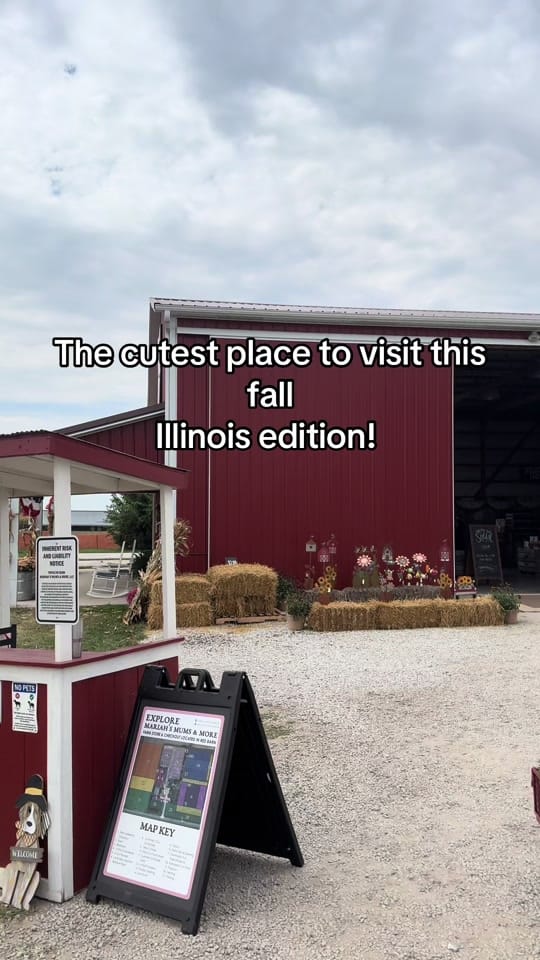 Post 3 by 💛 Illinois momtok 💛 on TikTok (video)