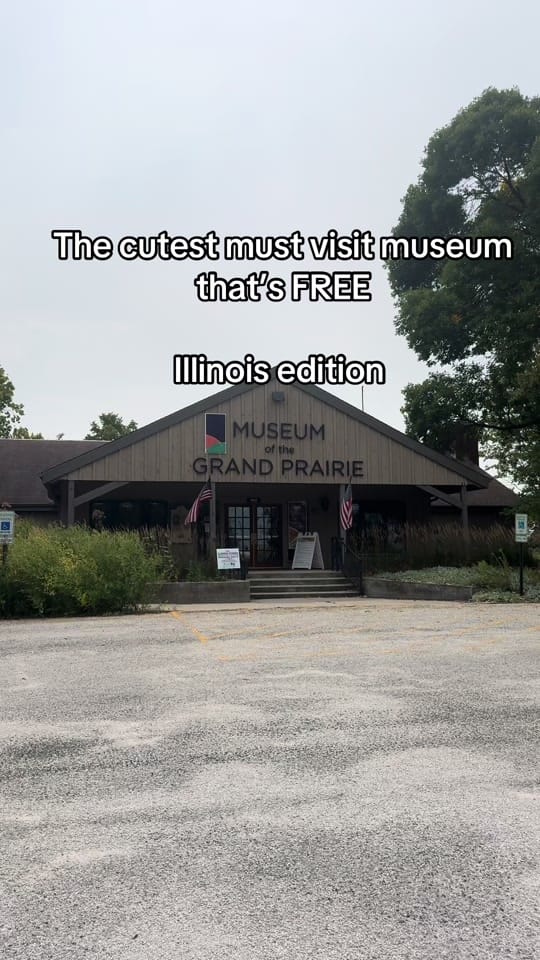 Post 4 by 💛 Illinois momtok 💛 on TikTok (video)