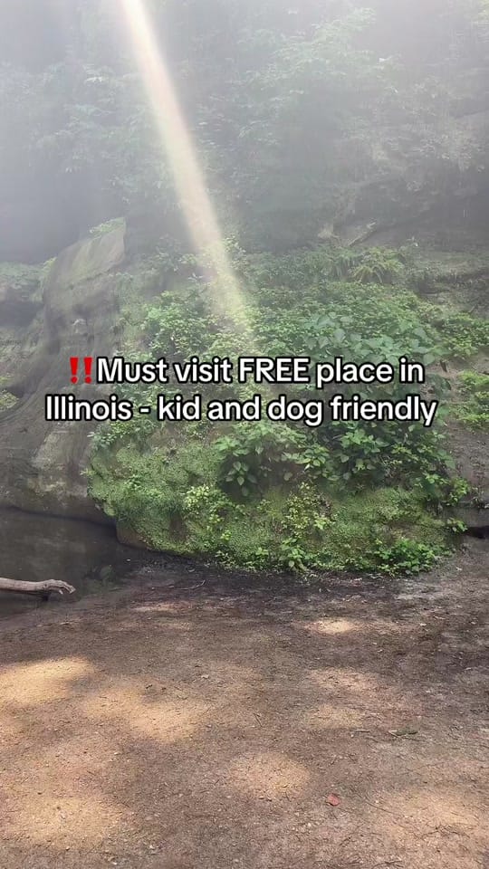 Post 7 by 💛 Illinois momtok 💛 on TikTok (video)