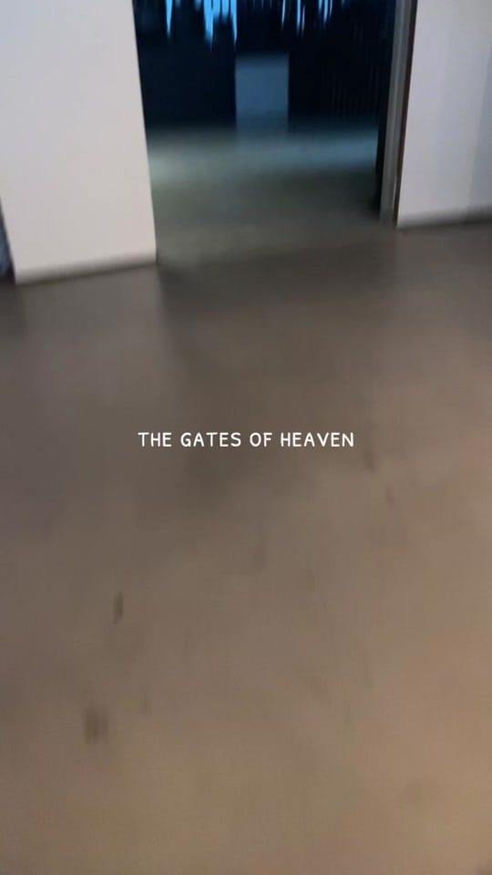 Post 9 by Camille on TikTok (video)