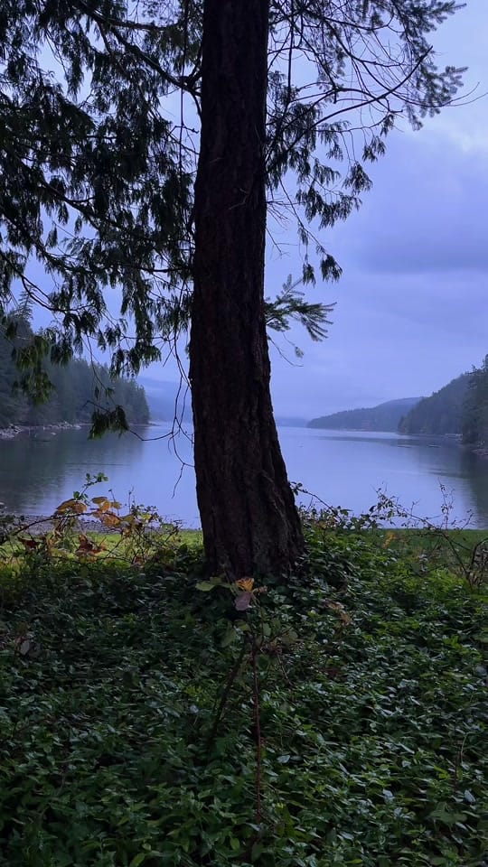 Post 3 by Ella Vallance on TikTok (video)