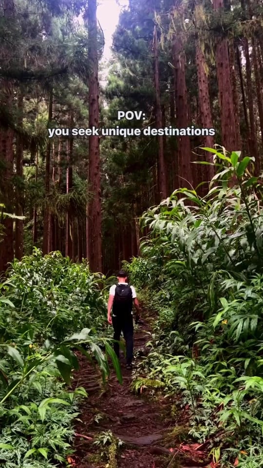 Post 10 by Kris on TikTok (video)