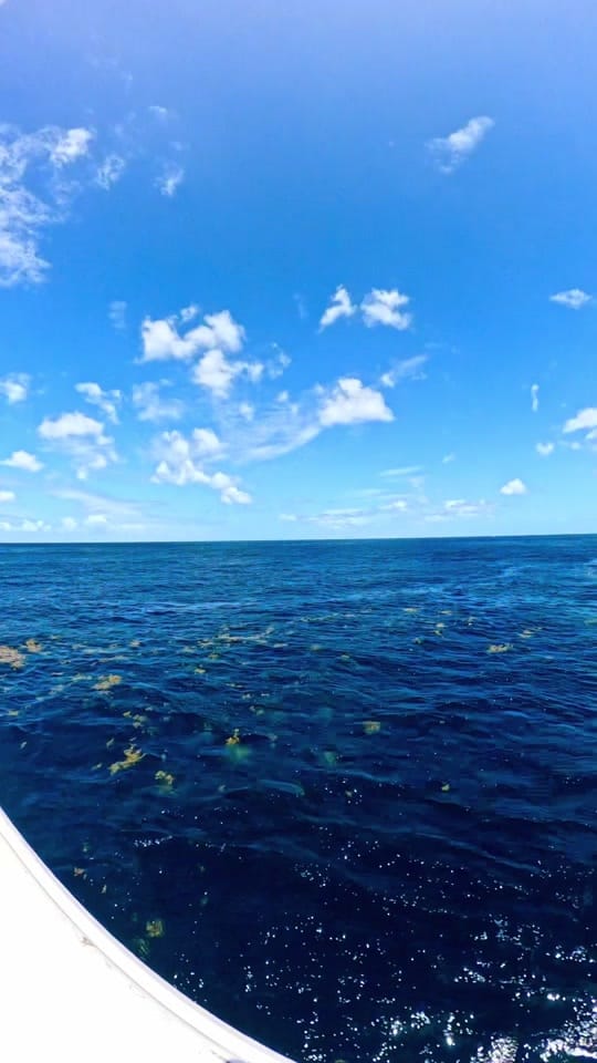 Post 2 by caleb_cox on TikTok (video)