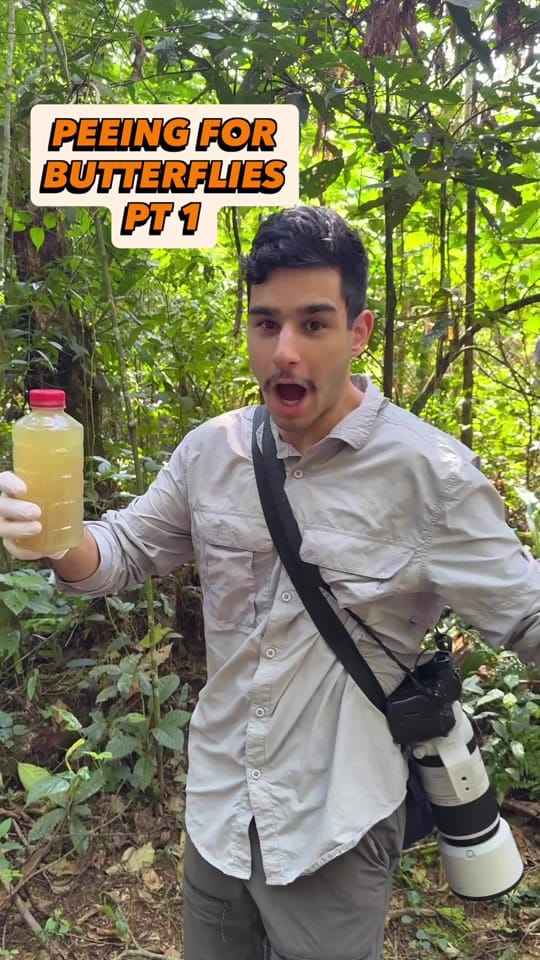 Post 7 by Nick Volpe on TikTok (video)