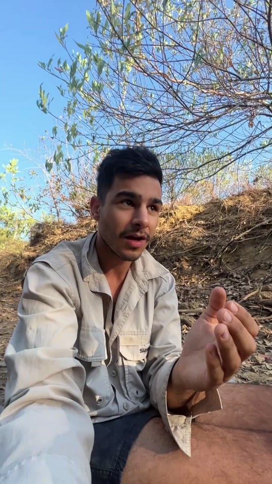 Post 9 by Nick Volpe on TikTok (video)