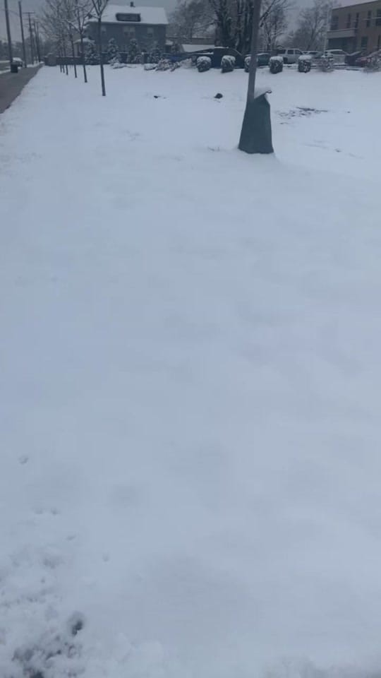 Post 4 by Forty on TikTok (video)