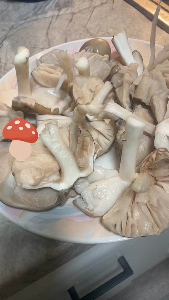 Post 5 by Forty on TikTok (video)