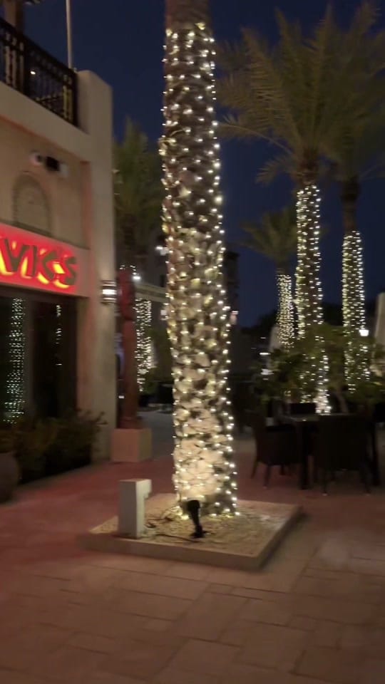 Post 7 by Sarah Nossy on TikTok (video)