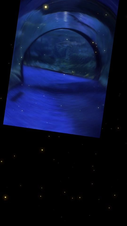 Post 2 by Sarah Nossy on TikTok (video)