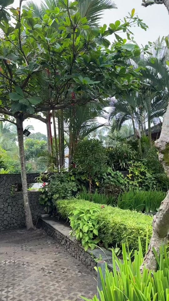 Post 10 by Sarah Nossy on TikTok (video)