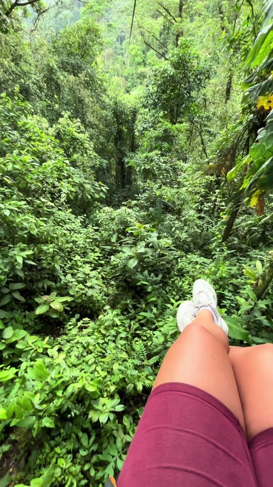 Post 1 by Jessica Pomroy on TikTok (video)