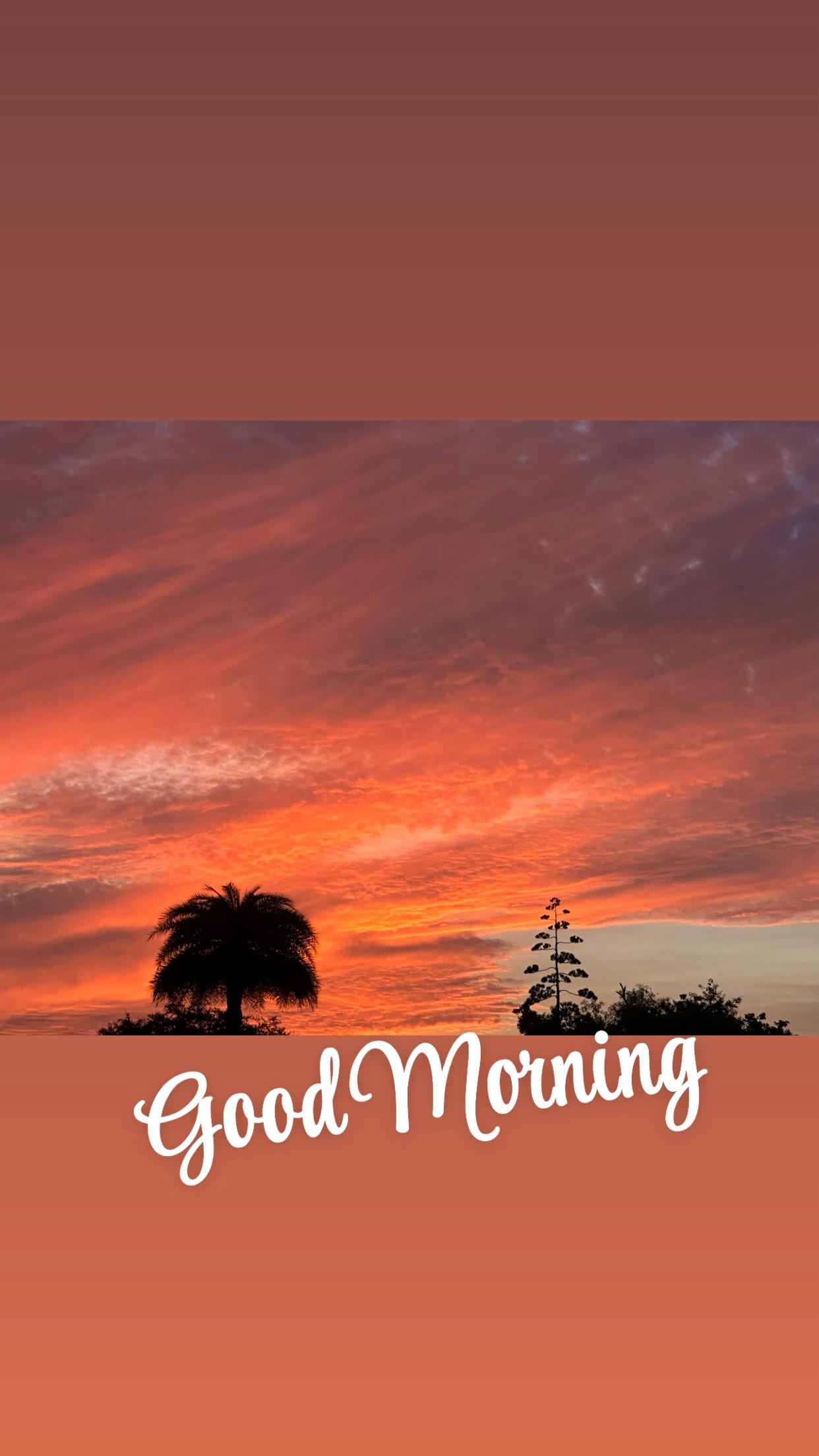 Post 1 by Ron Holwadel Jr. on TikTok (video)