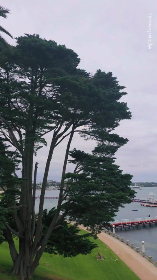 Post 9 by Gohar Beer Wala 🇦🇺🇵🇰 on TikTok (video)