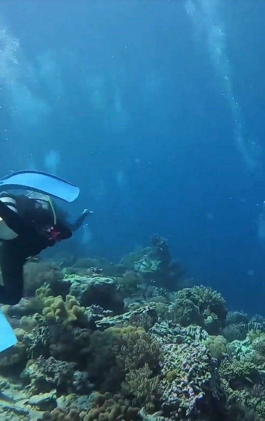 Post 9 by Bruce Deng on TikTok (video)