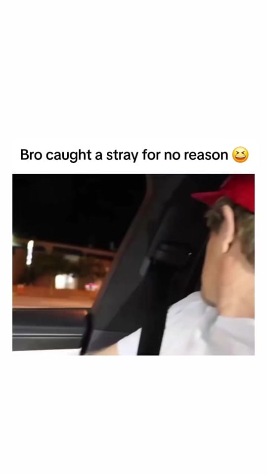 Post 8 by Sneakerbot on TikTok (video)
