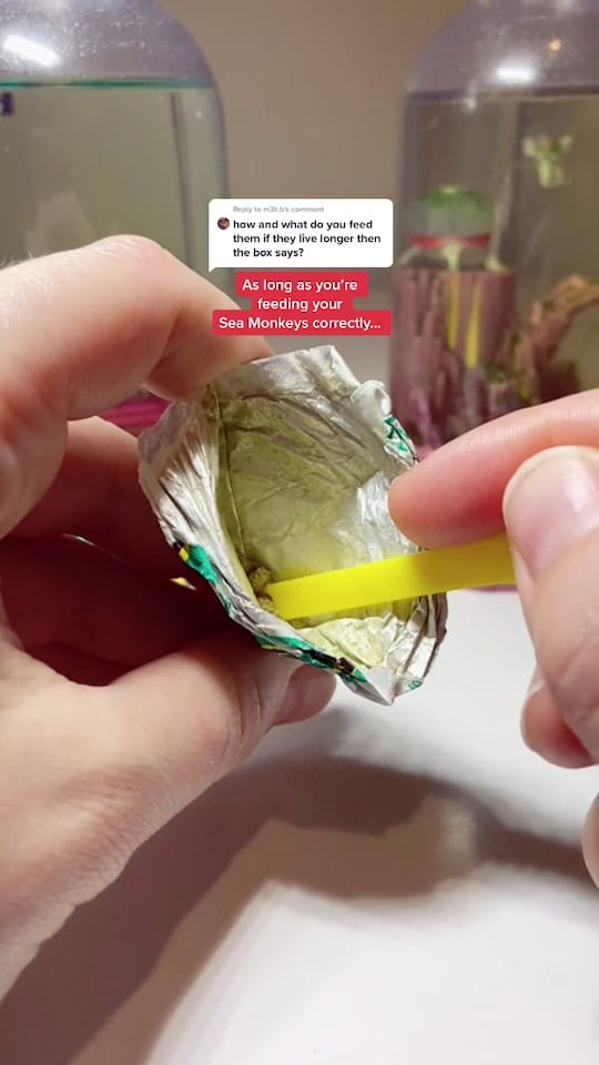 Post 10 by Chels ☀️ on TikTok (video)