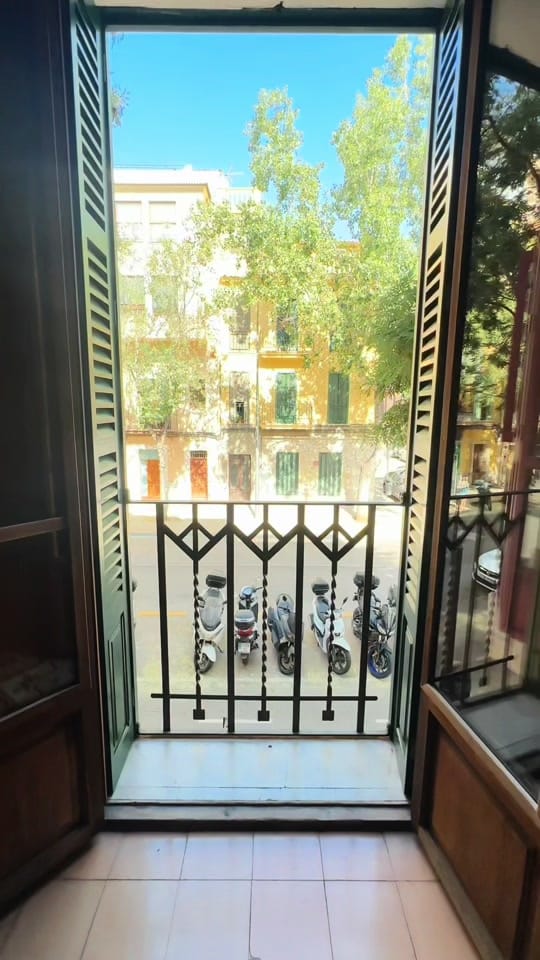 Post 2 by jackdavid on TikTok (video)