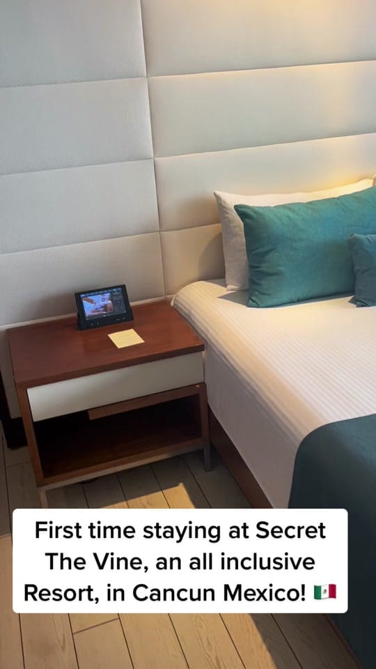 Post 6 by Mace 陈若皓 on TikTok (video)