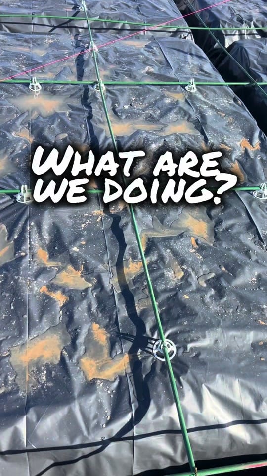 Post 4 by Texas Signature Inspections on TikTok (video)