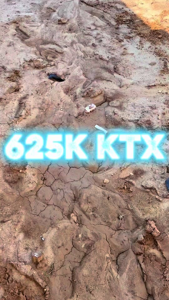 Post 7 by Texas Signature Inspections on TikTok (video)