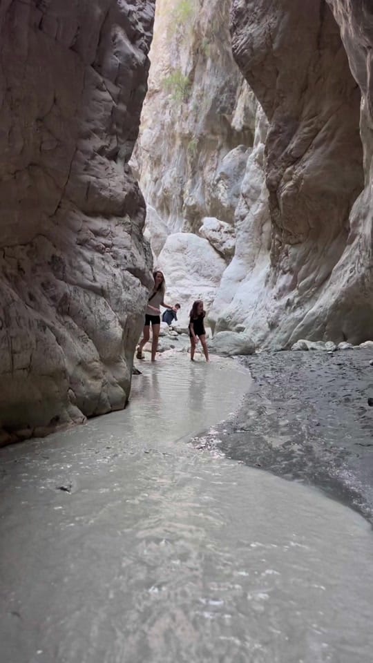 Post 7 by Kelsey Wauchope on TikTok (video)