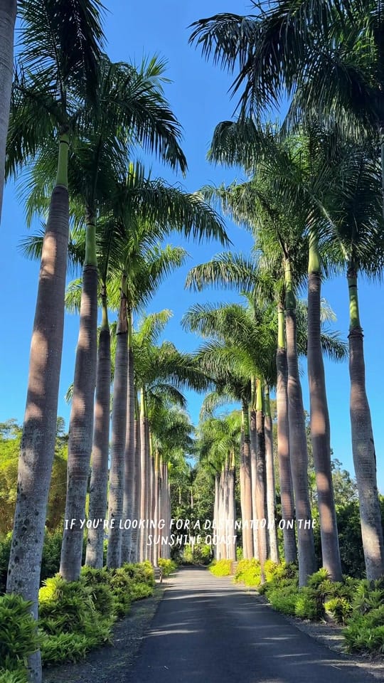 Post 3 by Kelsey Wauchope on TikTok (video)