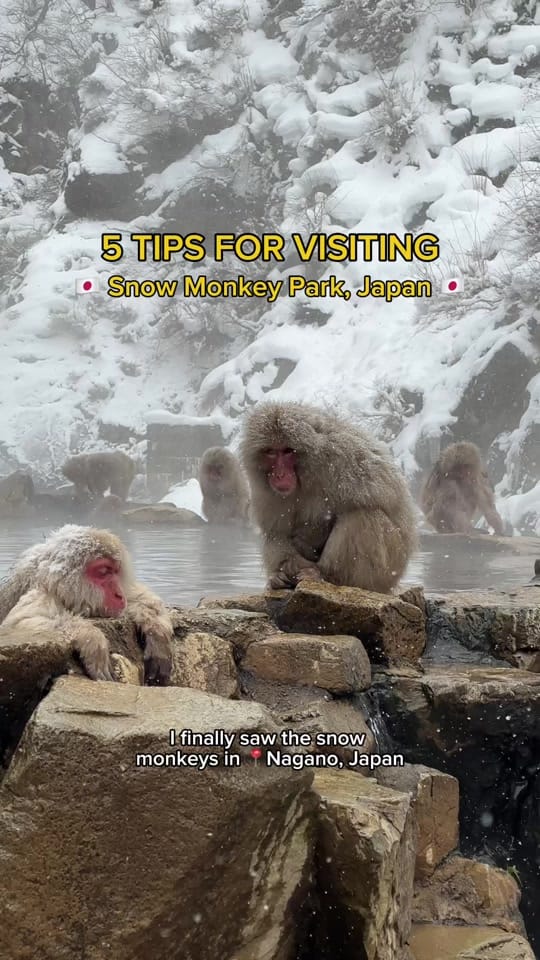 Post 1 by Michelle | Food & Travel on TikTok (video)