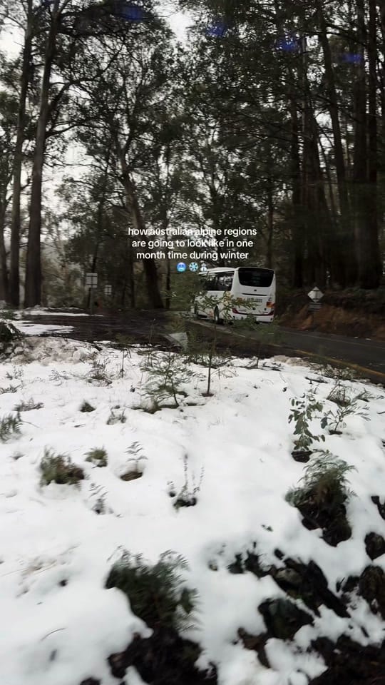 Post 5 by jake on TikTok (video)