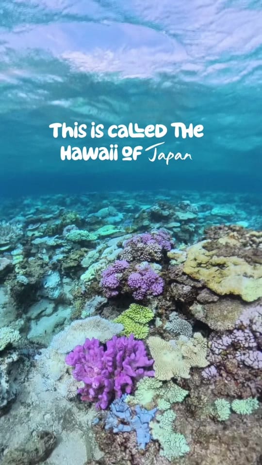 Post 4 by the.savvytourist on TikTok (video)